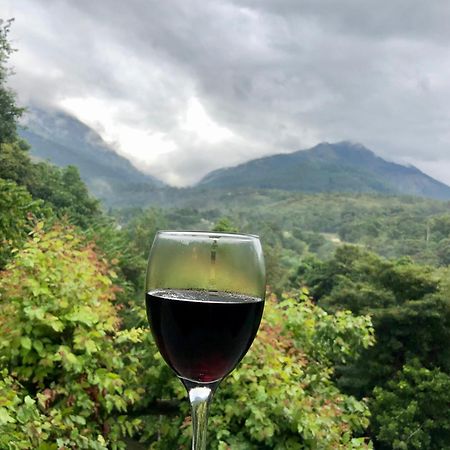 河岸花园度假酒店 贝里胡罗亚 外观 照片